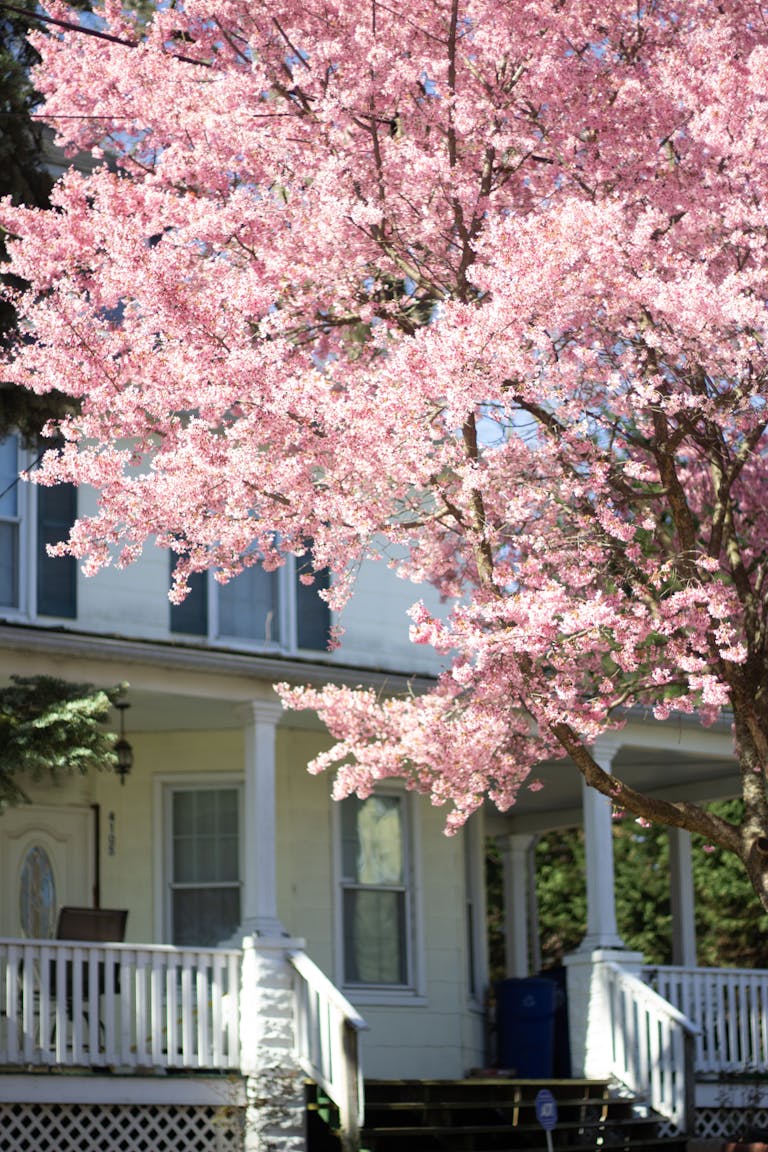Spring Into Better Health: Managing Seasonal Allergies This April